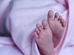 बीड: 10 दिवसांपासून घरासाठी लढतीय दोन जीवांची महिला; आंदोलनस्थळीच दिला बाळाला जन्म